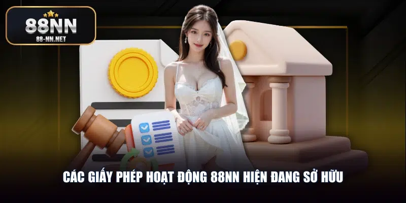 Các giấy phép hoạt động 88nn hiện đang sở hữu