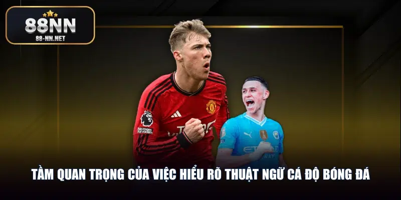 Tầm quan trọng của việc hiểu rõ thuật ngữ cá độ bóng đá