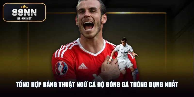 Tổng hợp bảng thuật ngữ cá độ bóng đá thông dụng nhất